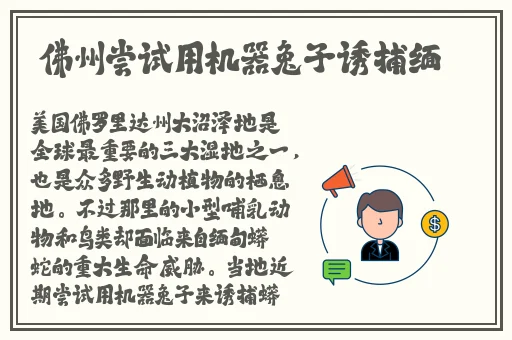 就去干97